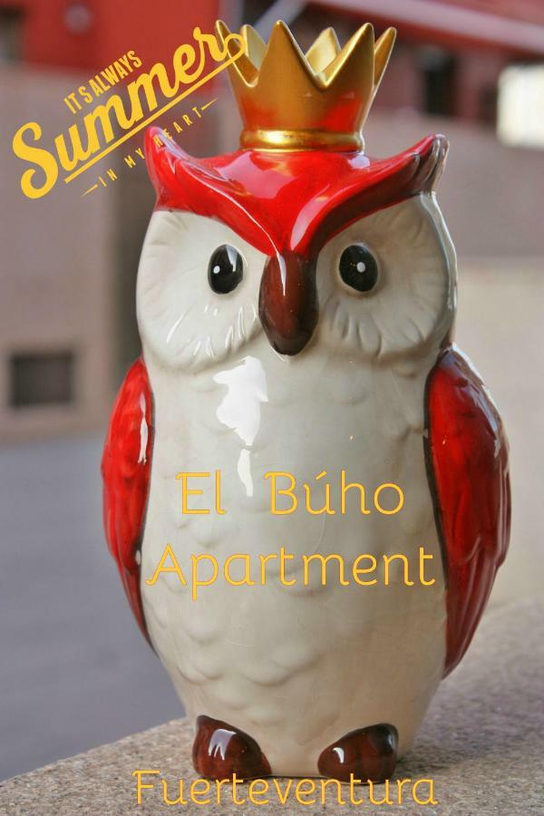 El Buho Apartment Wi-Fi Puerto del Rosario  Exteriér fotografie